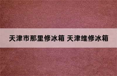 天津市那里修冰箱 天津维修冰箱